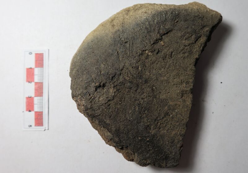 Datei:Rauhwand.-grobe nachgedr. W. 4-2.jpg