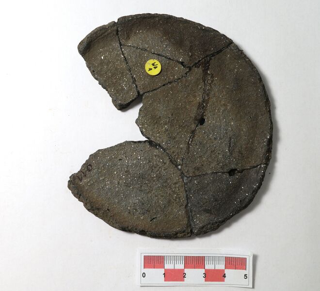 Datei:Silberglimmerw. 1-2.jpg