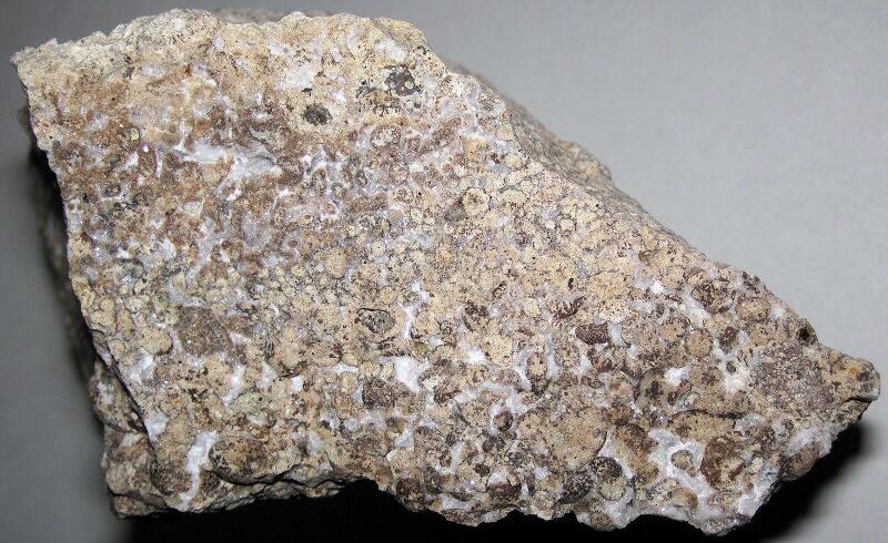 Datei:Calciocarbonatite lapillistone (extrusive calciocarbonatite) (Kaiserstuhl Complex, Miocene; near Freiburg, Germany) 3.jpg