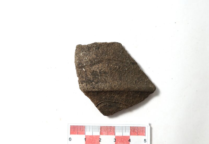 Datei:Silberglimmerw. 8.JPG