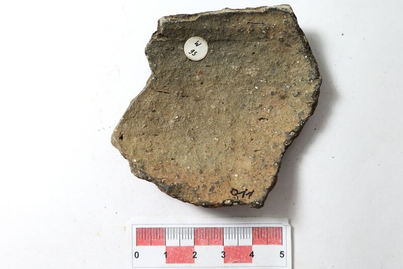Datei:Silberglimmerw. 6-2.JPG