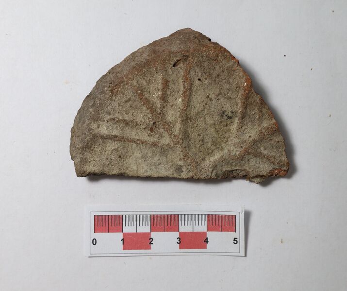 Datei:Silberglimmerw. 2.jpg