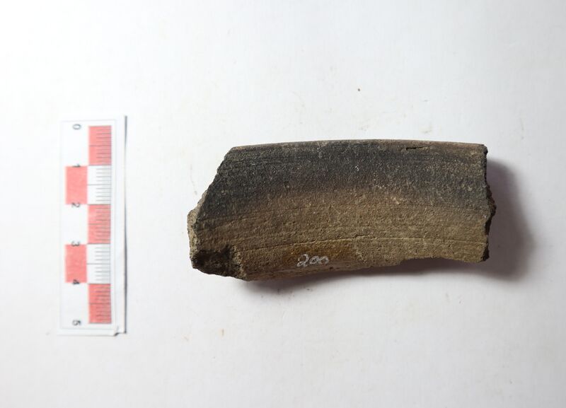 Datei:Rauhwandig-feine nachgedr. W. 1.JPG