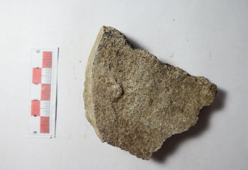 Datei:Rauhwandige nachgedr. W. 6-2.jpg