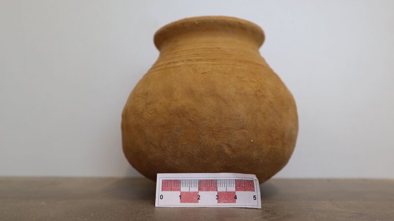 Datei:Ausgepreßter Boden 3.jpg