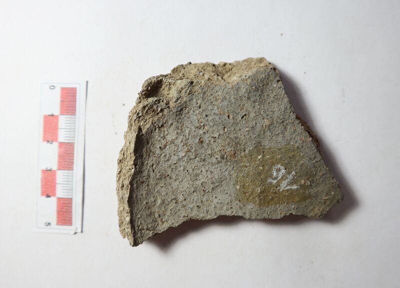 Datei:Rauhwandige nachgedr. W. 6.jpg