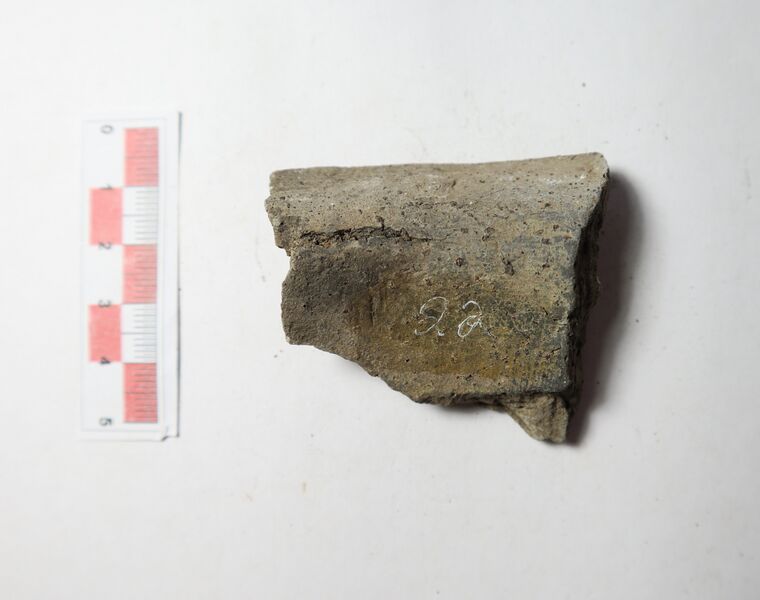 Datei:Rauhwand.-grobe nachgedr. W. 1.JPG