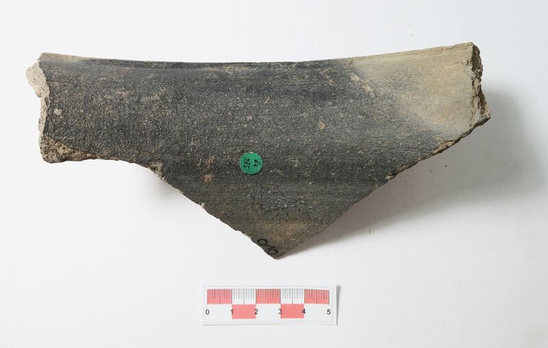 Datei:Rauwandige Dreh. 1.jpg