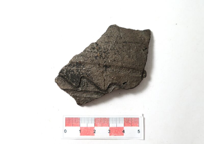 Datei:Silberglimmerw. 5.JPG