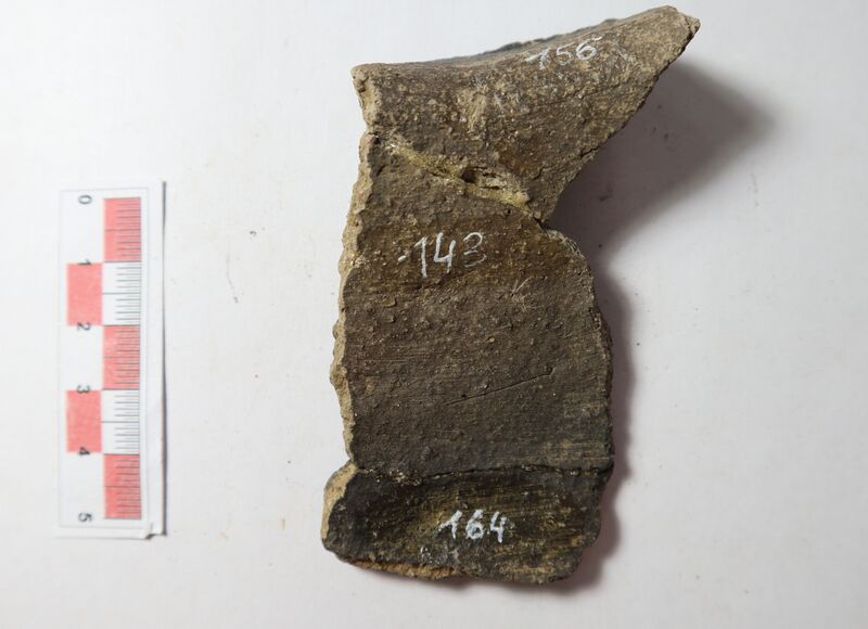 Datei:Rauhwandige nachgedr. W. 4-2.JPG